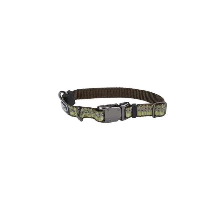 Coastal K9 Explorer Reflective Dog Collar