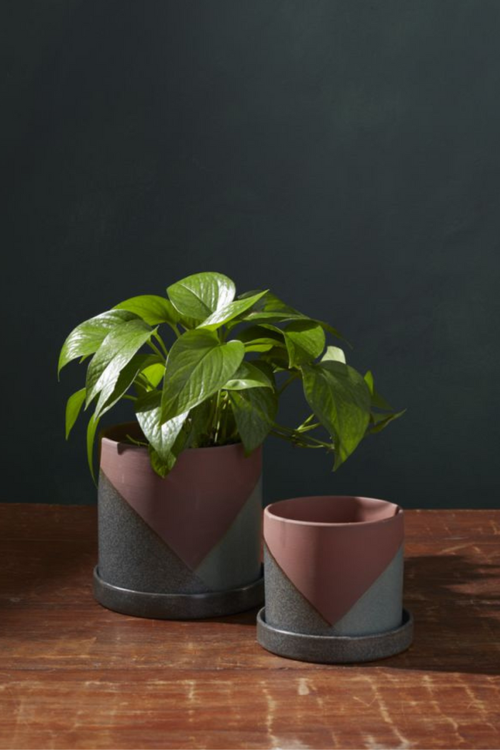 Accent-Decor-El-Cerro-Pot-with-Saucer