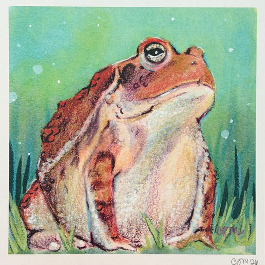 Carolyn McManus - Toad Print