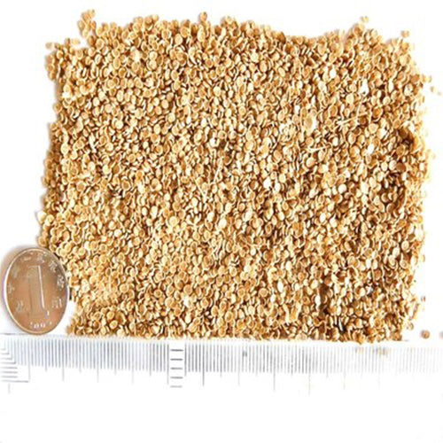 Agriophyllum Squarrosum & Shami Seeds