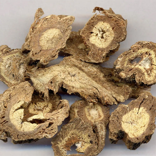 Angelica-pubescens-du-huo-Seeds