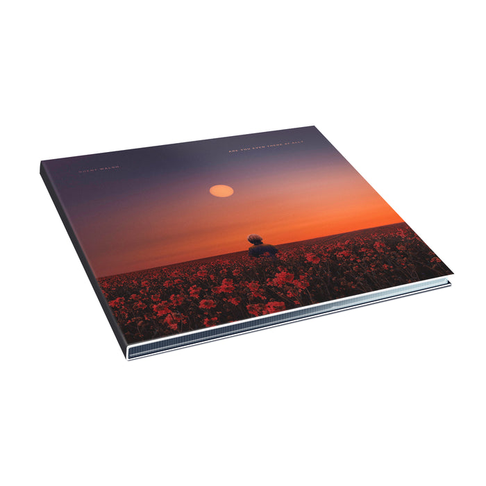 A book titled Are You Even Real? features a cover of a person in a field of red flowers at sunset beneath an orange sun, echoing the quiet mystery of Cloud's Song. Brent Walsh's name appears in small text at the top left.