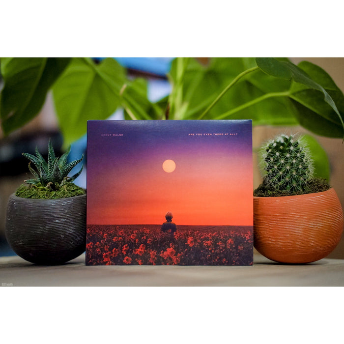 A square album cover titled "Cloud's Song" by Brent Walsh shows a sunset sky, a person in a flower field, and a large sun. It's set between two potted plants: a succulent in a brown pot and a cactus in an orange pot.