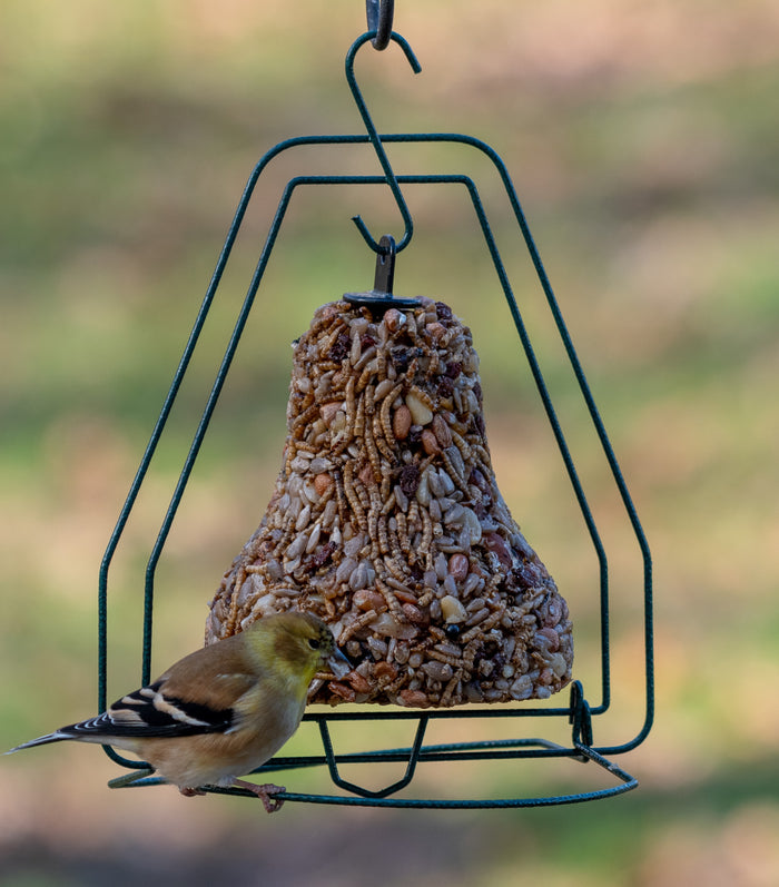BIRDSEED BELL: BUG & NUT, WITH HANGER