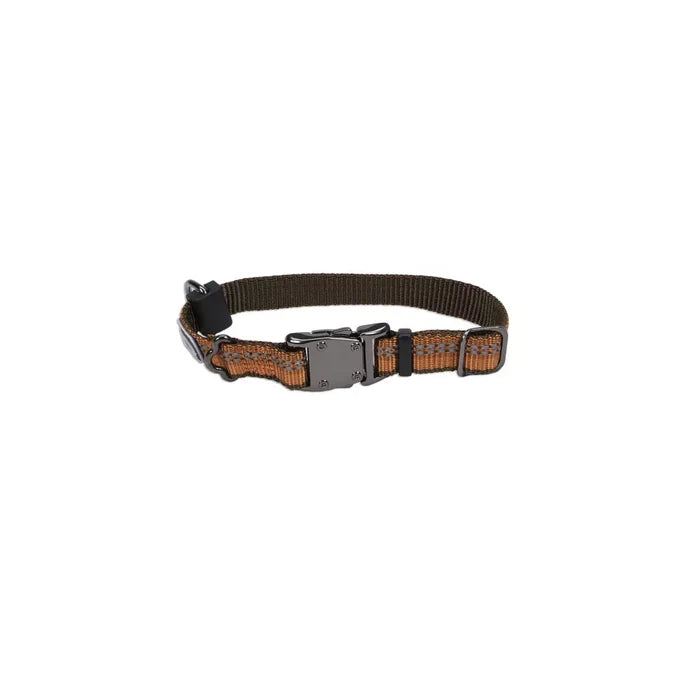 Coastal K9 Explorer Reflective Dog Collar