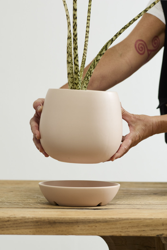 Accent-Decor-Dalton-Pot-and-Saucer