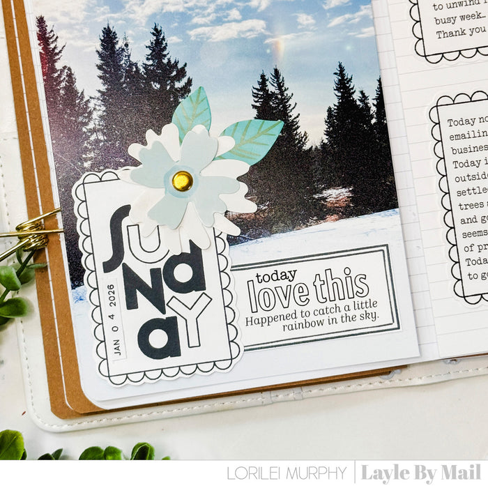 In The Box - Scallop - 4x4 Stamp Set