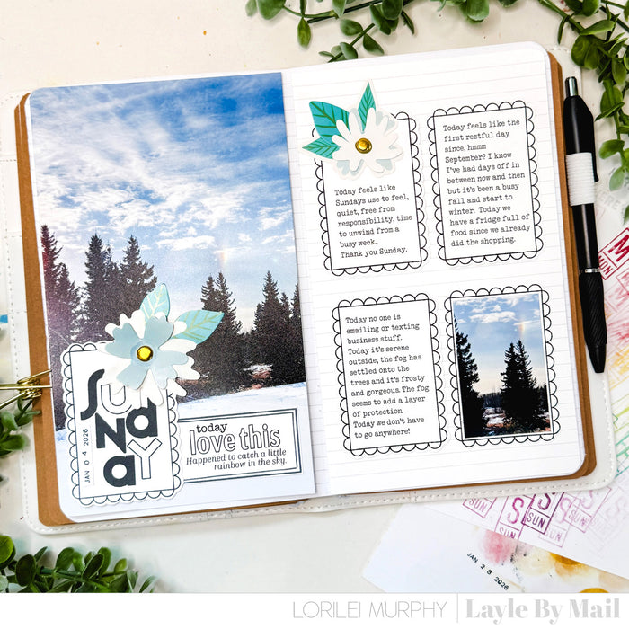 In The Box - Scallop - 4x4 Stamp Set