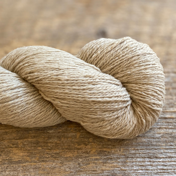 Camel 36