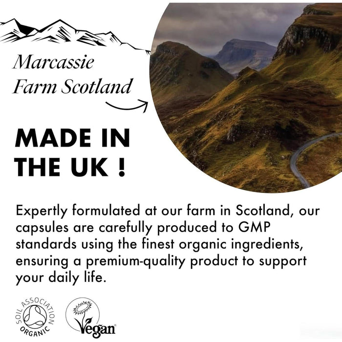 Love Mushrooms Calm Reishi 4000mg capsules, white background, "Made in the UK, Marcassie Farm Scotland," Soil Association Organic and Vegan logos.