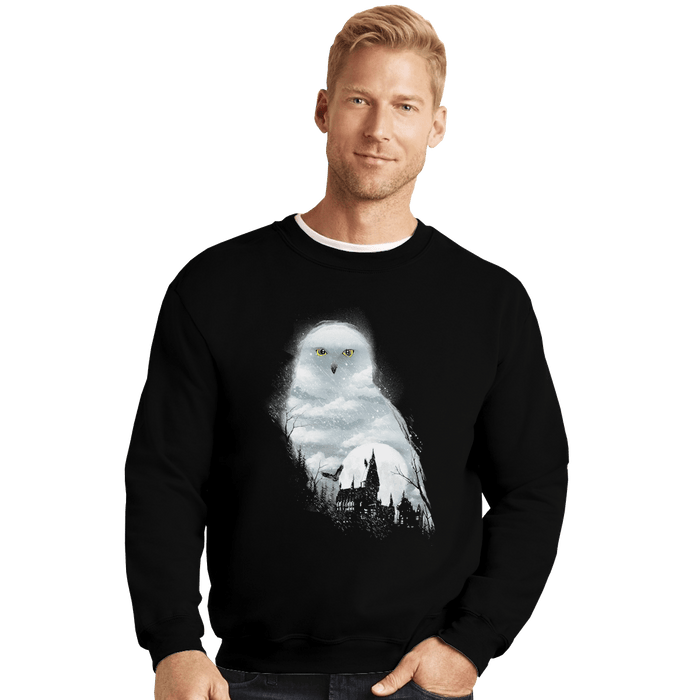 Crewneck Sweater, Unisex / Small / Black