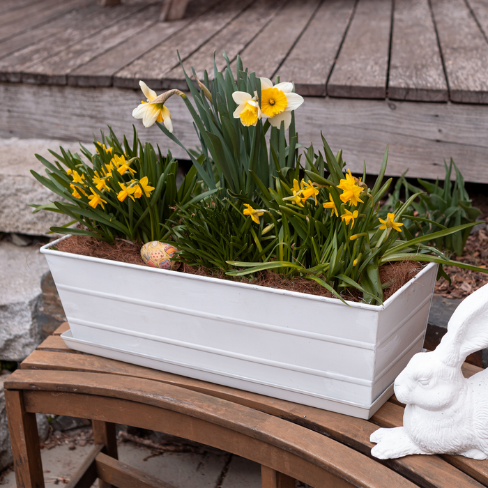 Medium Galvanized Flower Box with Tray- The Well Appointed House