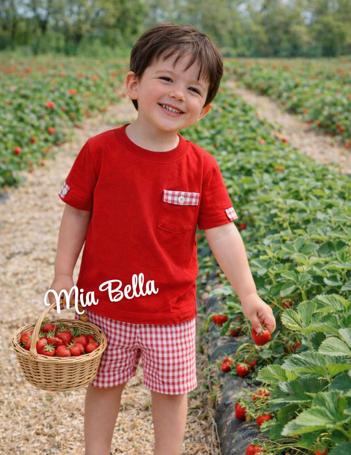 Rapife Boys Red/White Checked Shorts Set