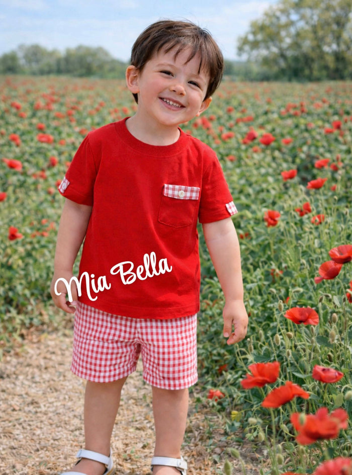 Rapife Boys Red/White Checked Shorts Set