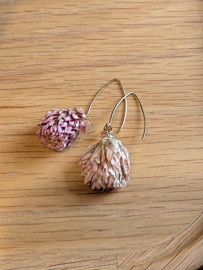 Resin Dried Amaranth Earrings - Precious Sparkle