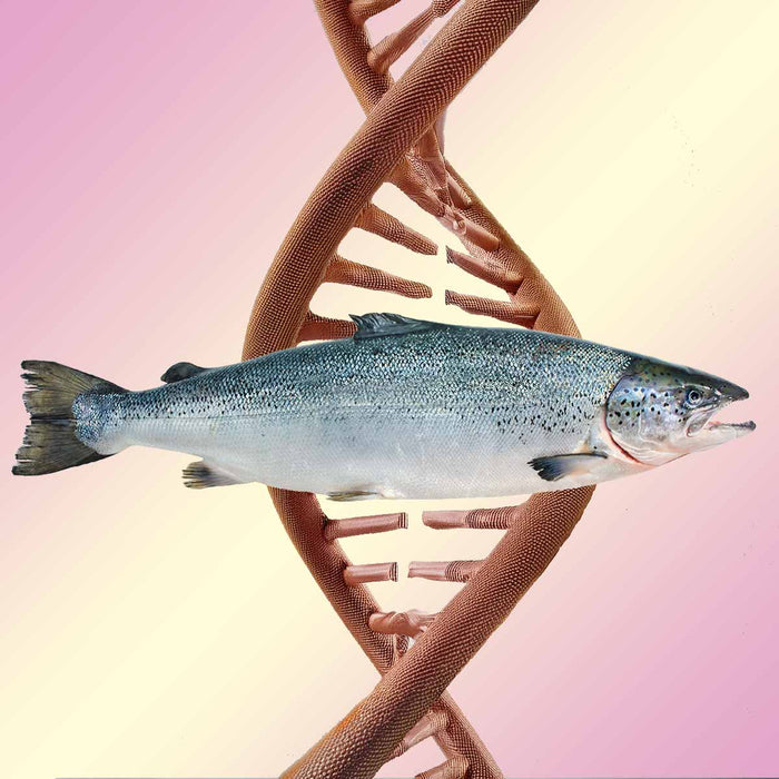 Salmon PDRN Glass Skin 1% (Upgrade)