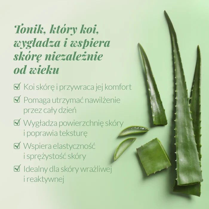liść aloesu oraz benefity toniku z aloesem