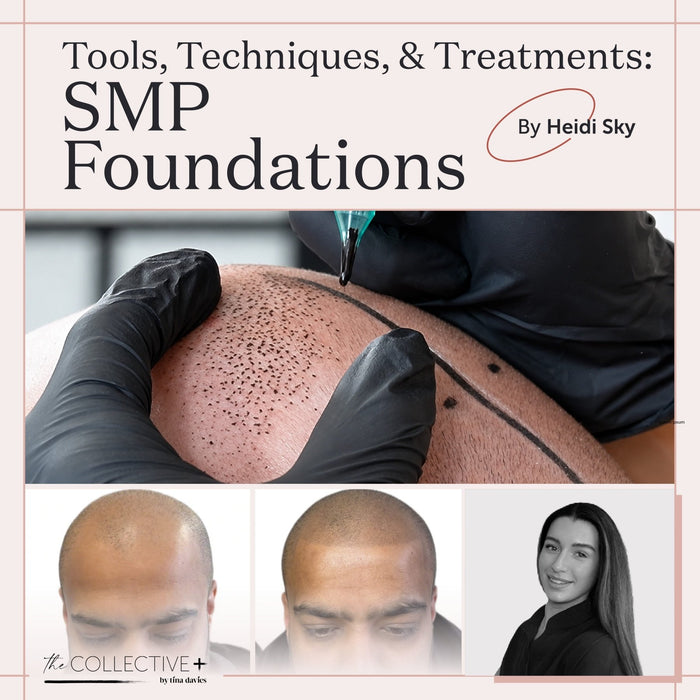 Tools, Techniques, & Treatments: SMP Foundations by Heidi Sky - Tina Davies Professional
