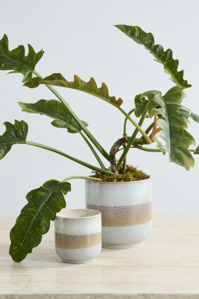 Accent-Decor-Tremaine-Pot