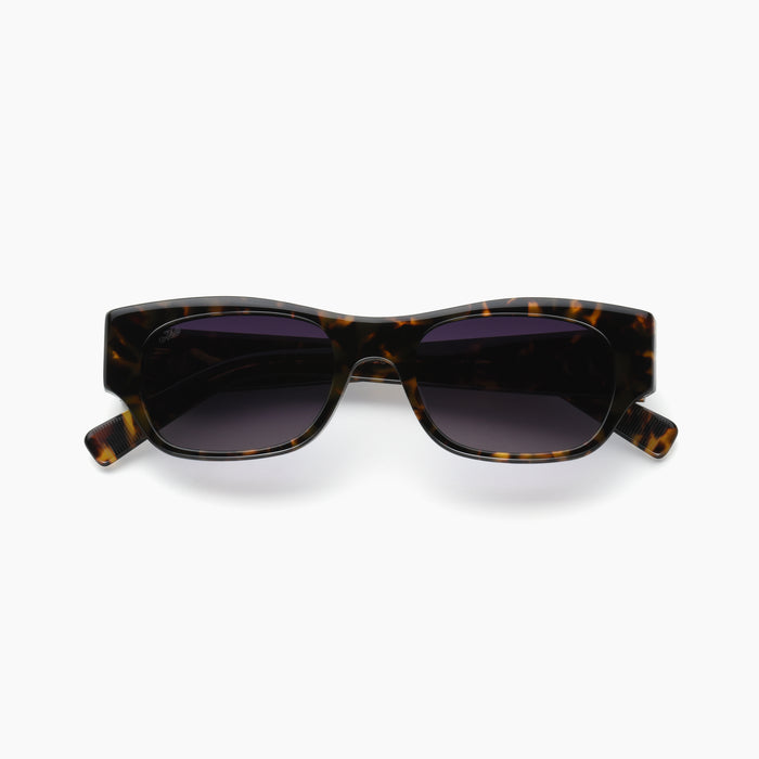 Tortoise / Purple Gradient