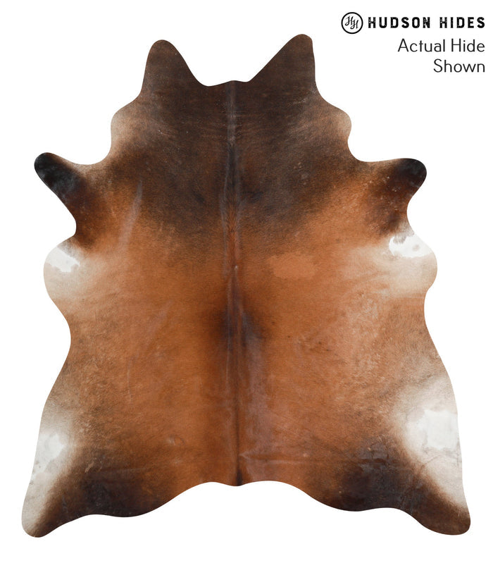 Brown with Red Cowhide Rug #40200