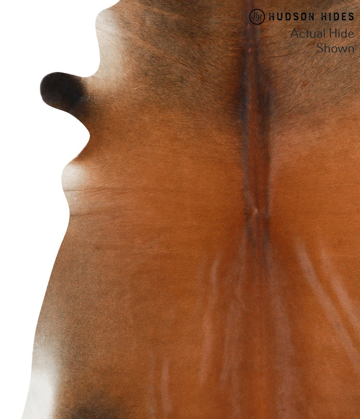 Brown with Red Cowhide Rug #39632