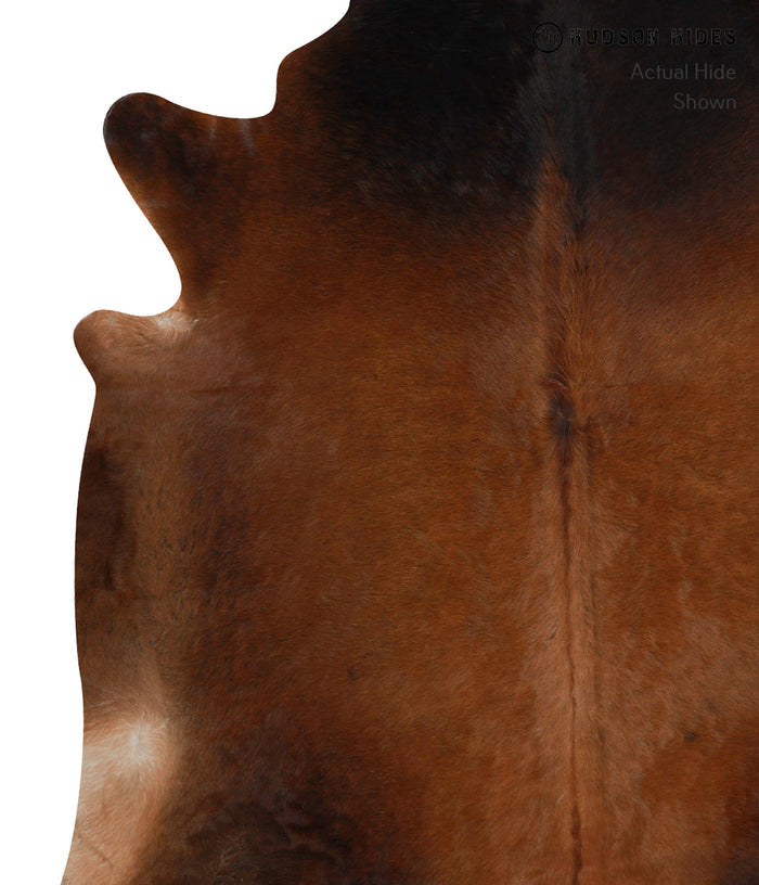Brown with Red Cowhide Rug #82813